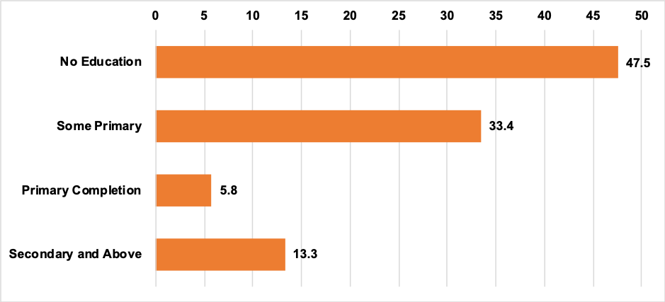Bar chart showing the level of education for primary caregivers
